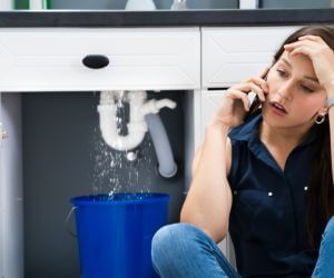 About Emergency plumbing pros Taneyville, MO